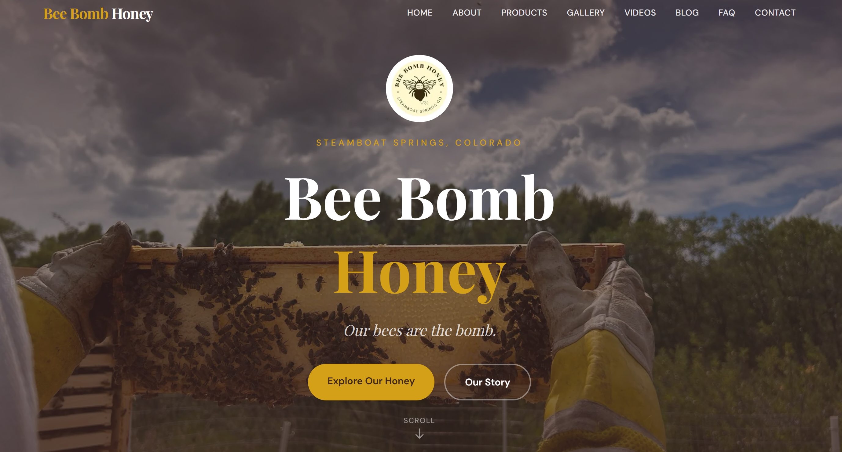 Bee Bomb Website Homepage